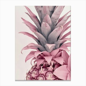 Pink Pineapple 2 Canvas Print