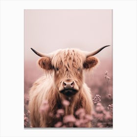 Pink Photography Style Of Highland Cow In The Rain 3 Canvas Print