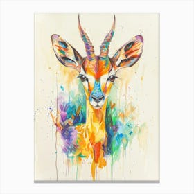 Antelope Colourful Watercolour 2 Canvas Print