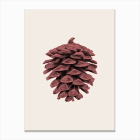 Red Pine Cone Canvas Print