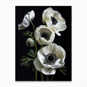 Poster White Beauty 4 Canvas Print