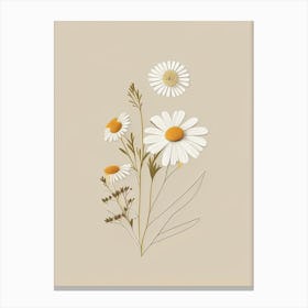 Chamomile Spices And Herbs Retro Minimal 1 Canvas Print