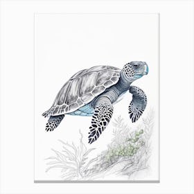 Leatherback Sea Turtle (Dermochelys Coriacea), Sea Turtle Quentin Blake Illustration 1 Canvas Print