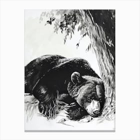 Malayan Sun Bear Laying Under A Tree Ink Illustration 3 Canvas Print