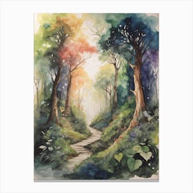 Path In The Woods 1 Canvas Print