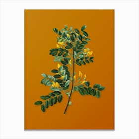 Vintage Siberian Pea Tree Botanical on Sunset Orange n.0490 Canvas Print