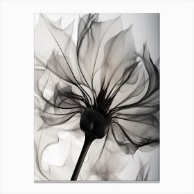 Xray Herbarium Artistic Flowers 1 Canvas Print
