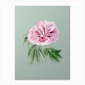 Vintage Double Red Curled Tree Peony Botanical Art on Mint Green n.0015 Canvas Print