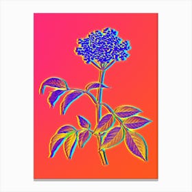 Neon Elderflower Tree Botanical in Hot Pink and Electric Blue n.0317 Canvas Print