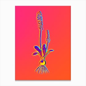 Neon Scilla Obtusifolia Botanical in Hot Pink and Electric Blue n.0481 Canvas Print