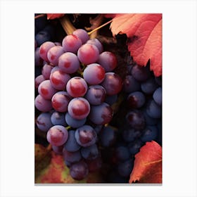 Autumn Grapes Canvas Print