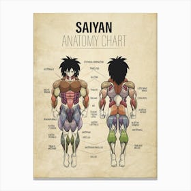 Broly Anatomy Dragon ball Super Vintage Canvas Print