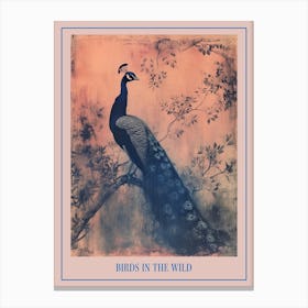 Pink & Blye Peacock In A Tree Cyanotype Inspired 2 Poster Canvas Print