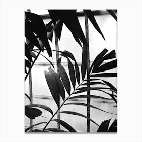 Botanical Shadow Canvas Print
