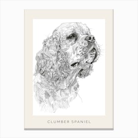 Clumber Spaniel Dog Line Sketch 3 Poster Canvas Print