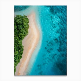 Aerial View Of A Tropical Island Canvas Print