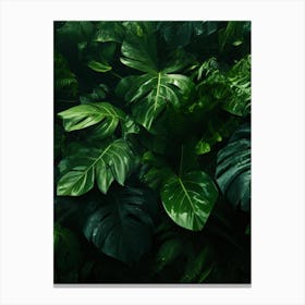 Tropical Jungle Background Canvas Print