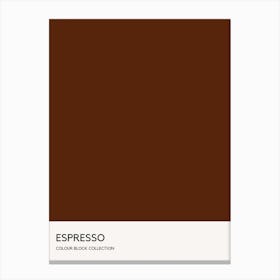 Espresso Colour Block Poster Canvas Print
