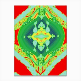 Psychedelic Art 14 Canvas Print