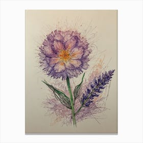 Carnation Canvas Print