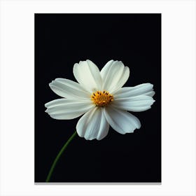 White Flower 13 Canvas Print