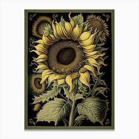 Sunflower 1 Floral Botanical Vintage Poster Flower Canvas Print