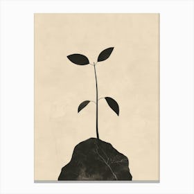 Plant On A Rock Canvas Print