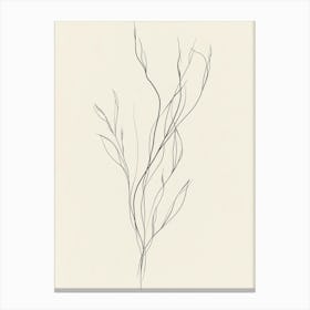 Twigs Canvas Print