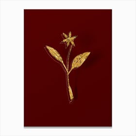 Vintage Erythronium Botanical in Gold on Red n.0208 Canvas Print