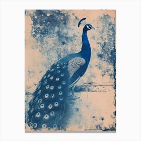 Blue & Sepia Cyanotype Inspired Peacock Canvas Print
