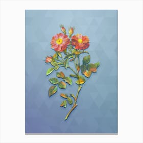 Vintage Elizabeth's Sweetbriar Rose Botanical Art on Summer Song Blue n.0741 Canvas Print