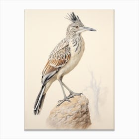 Vintage Bird Drawing Roadrunner 2 Canvas Print