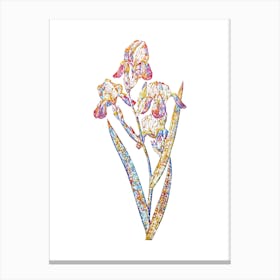 Stained Glass Elder Scented Iris Mosaic Botanical Illustration on White n.0146 Canvas Print