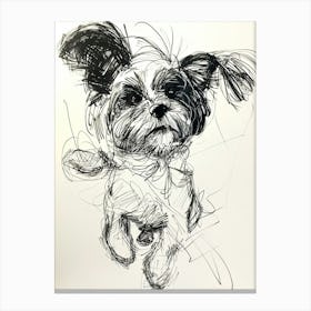 Biewer Terrier Dog Line Sketch Canvas Print