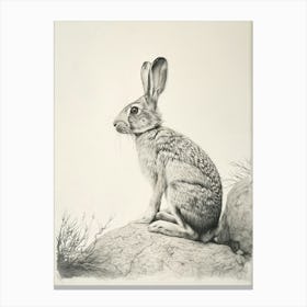 Harlequin Rabbit Drawing 1 Canvas Print