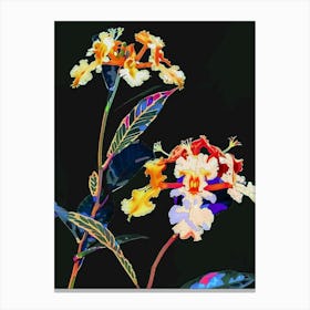 Neon Flowers On Black Lantana 1 Canvas Print