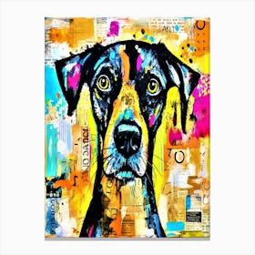 Hound Dog Stare - Colorful Doberman Canvas Print