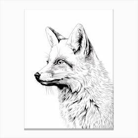 Fox Portrait Illustration 4 Canvas Print