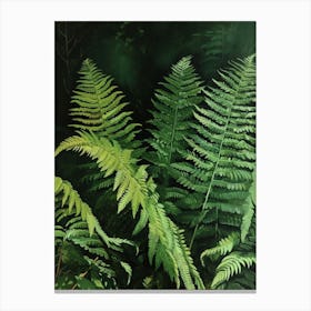 Giant Chain Fern Painting 1 Canvas Print