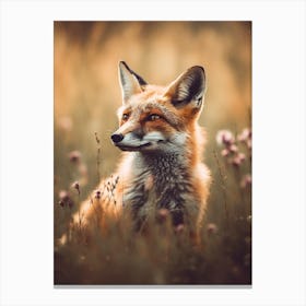 Young Fox Canvas Print