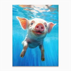 Cute Baby Piglet in the Water Canvas Print