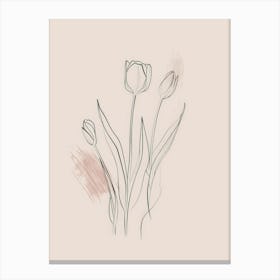 Tulips 29 Canvas Print