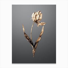 Gold Botanical Didier's Tulip on Soft Gray n.4066 Canvas Print