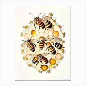 Colony Of Bees 6 Vintage Canvas Print