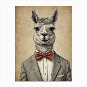 Llama In A Suit Canvas Print