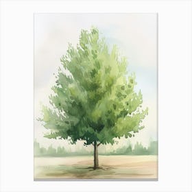 Poplar Tree Atmospheric Watercolour Painting 3 Canvas Print