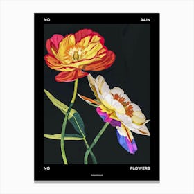 No Rain No Flowers Poster Ranunculus 3 Canvas Print