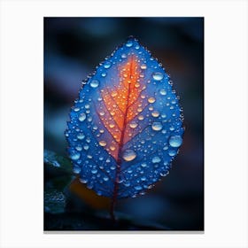 Blue Leaf With Water Droplets 7 Canvas Print