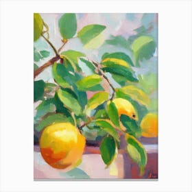 Dwarf Lemon Tree Impressionist Painting Plant Canvas Print