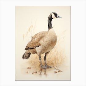 Vintage Bird Drawing Canada Goose 3 Canvas Print